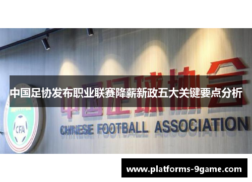 中国足协发布职业联赛降薪新政五大关键要点分析 中国足协发布职业联赛降薪新政五大关键要点分析