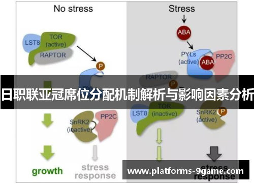 日职联亚冠席位分配机制解析与影响因素分析 日职联亚冠席位分配机制解析与影响因素分析