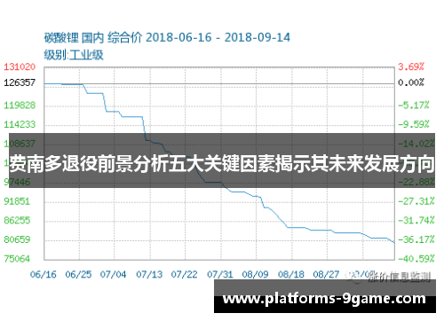 费南多退役前景分析五大关键因素揭示其未来发展方向 费南多退役前景分析五大关键因素揭示其未来发展方向